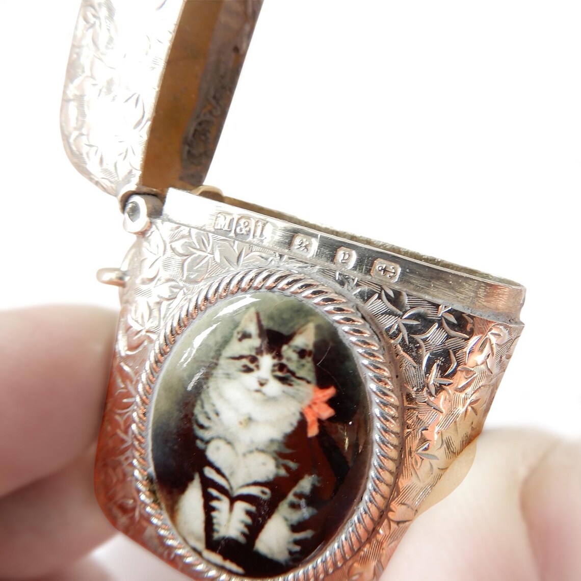 Victorian Solid Silver Enamel Tabby Cat Vesta