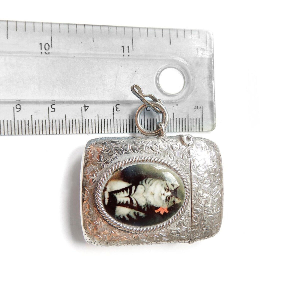 Victorian Solid Silver Enamel Tabby Cat Vesta