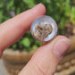 Vintage Sterling Silver Essex Crystal Ring with Spaniel Dog