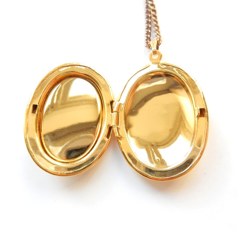 Vintage Gold Plated Cloisonne Enamel Butterfly Locket Necklace